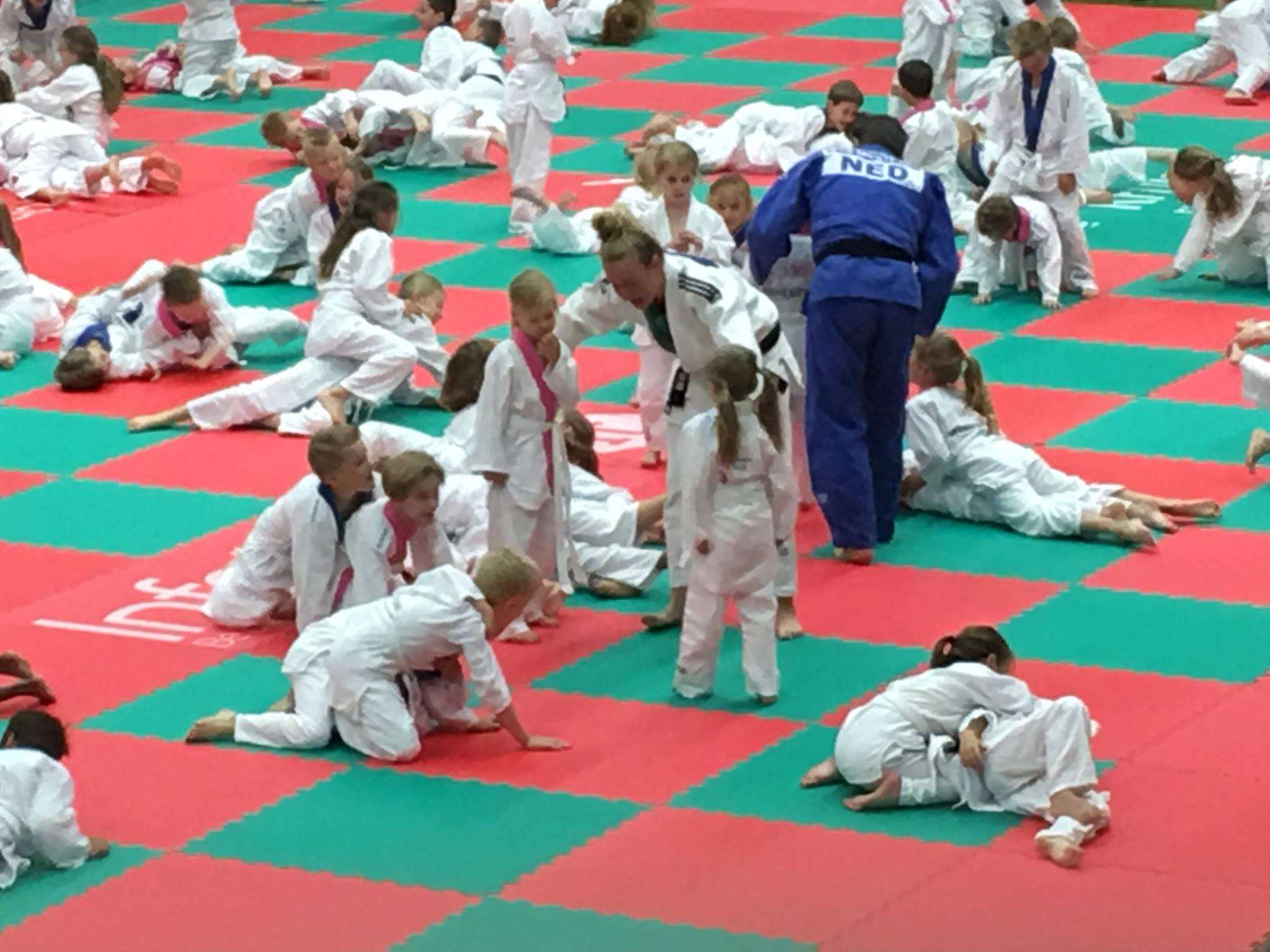 Judo op school stoeien